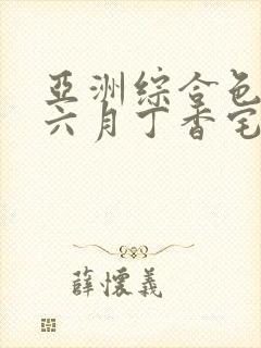 亚洲综合色婷婷六月丁香宅男大增