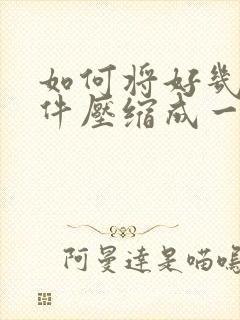 如何将好几个文件压缩成一个