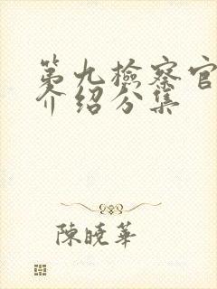 第九检察官剧情介绍分集