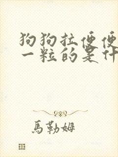 狗狗拉便便一粒一粒的是什么原因