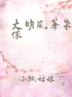 大明风华朱棣头像