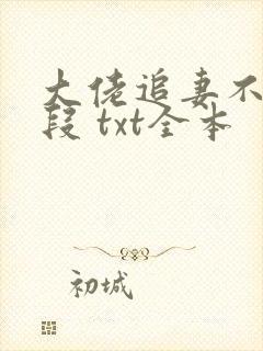 大佬追妻不择手段 txt全本