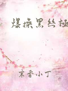 爆操黑丝极品