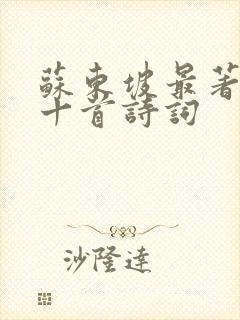 苏东坡最著名的十首诗词