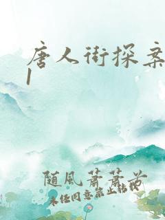唐人街探案网剧1 唐人街探案网剧1