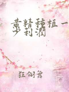 黄精种植一亩多少利润