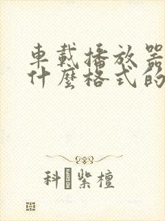 车载播放器支持什么格式的u盘