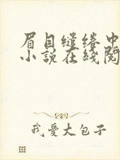 眉目缱绻中孤寂小说在线阅读
