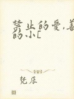 禁止的爱,善良的小[