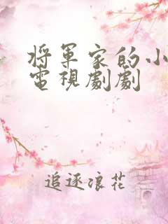 将军家的小娘子电视剧剧