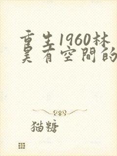 重生1960林昊有空间的小说