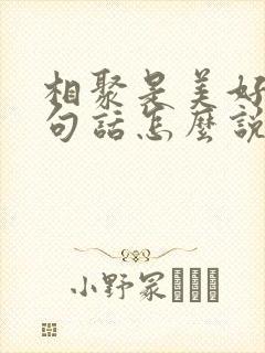 相聚是美好的下句话怎么说