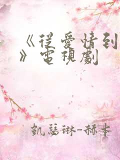 《从爱情到幸福》电视剧