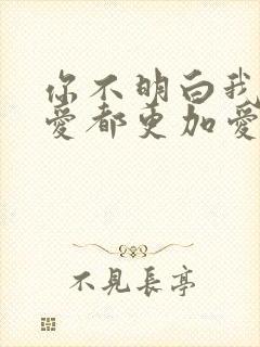 你不明白我说不爱都更加爱是什么歌