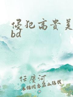 侵犯高贵美人妻bd
