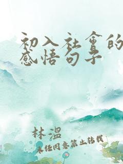 初入社会的人生感悟句子