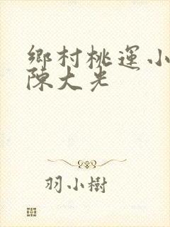 乡村桃运小神医陈大光