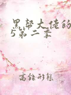 黑帮大佬的365第二季