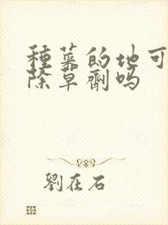种菜的地可以打除草剂吗
