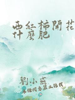 西红柿开花期施什么肥