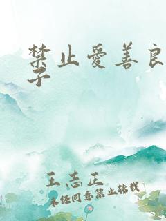 禁止爱善良的姨子