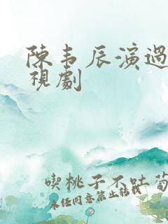 陈韦辰演过的电视剧