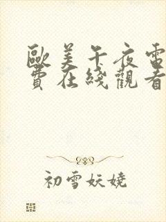 欧美午夜电影免费在线观看