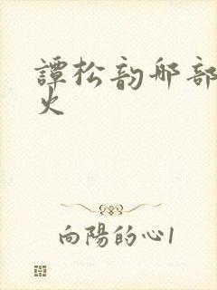 谭松韵哪部剧最火