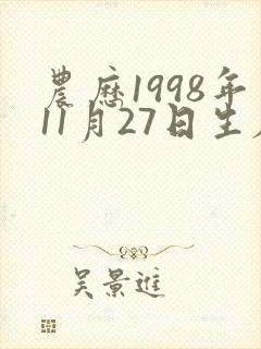 农历1998年11月27日生辰八字 农历1998年11月27日生辰八字