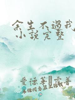 余生不过我爱你 小说完整