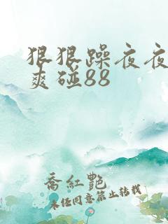 狠狠躁夜夜躁人爽碰88