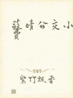 苏晴公交小说免费
