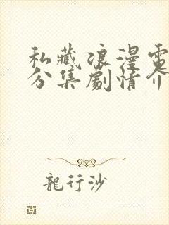 私藏浪漫电视猫分集剧情介绍