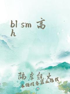 bl sm 高h