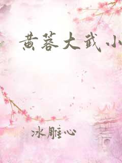 黄蓉大武小武