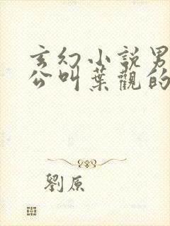 玄幻小说男主人公叫叶观的小说