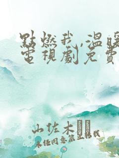 点燃我,温暖你电视剧免费观看2023