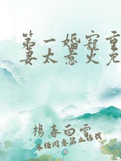 第一婚宠重生娇妻太惹火免费 第一婚宠重生娇妻太惹火免费