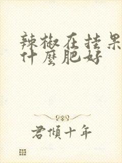 辣椒在挂果期施什么肥好