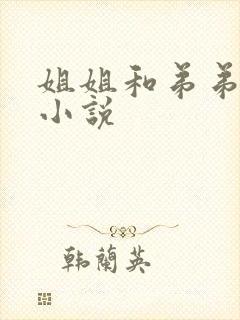 姐姐和弟弟做的小说