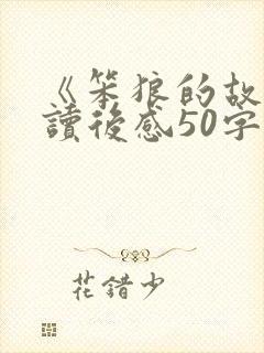 《笨狼的故事》读后感50字