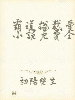 霸道总裁爱上我小说免费全文
