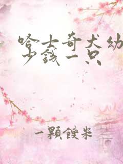 哈士奇犬幼犬多少钱一只