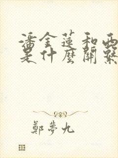 潘金莲和西门庆是什么关系的人