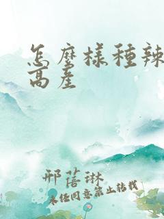 怎么样种辣椒才高产