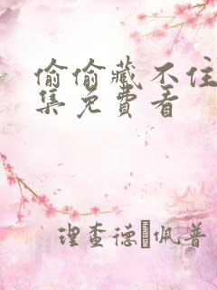 偷偷藏不住25集免费看