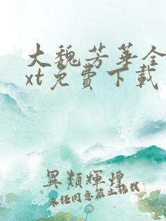 大魏芳华全本txt免费下载