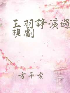 王羽铮演过的电视剧