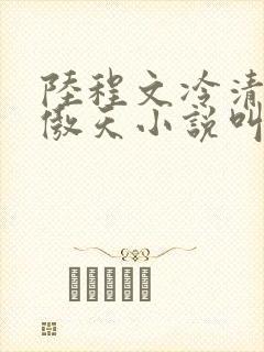 陆程文冷清秋龙傲天小说叫什么名字 陆程文冷清秋龙傲天小说叫什么名字