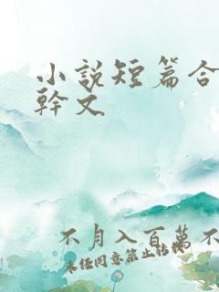 小说短篇合集高干文